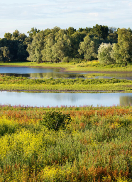 A green vista of grassland and lakes, with a forest in the distance
